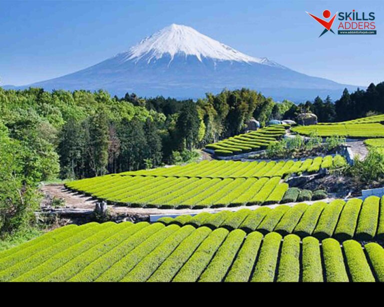 Insights from Japan – A Growing Demand for Semi-Skilled Workers